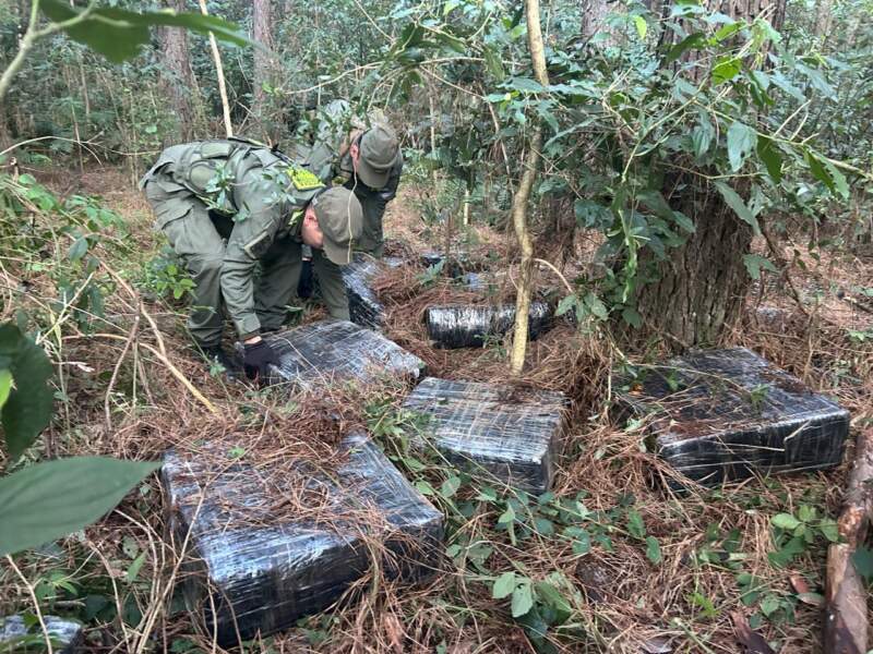 Patrulla motorizada detectó más de una tonelada de marihuana entre la maleza imagen-6