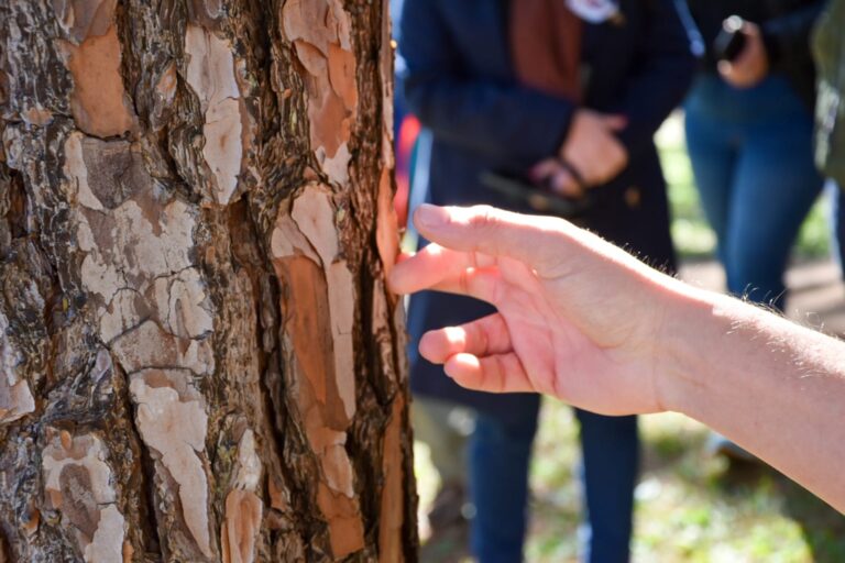 La Legislatura llevó al Salto Berrondo saberes sobre la Funga Misionera y sumó conciencia ambiental imagen-43