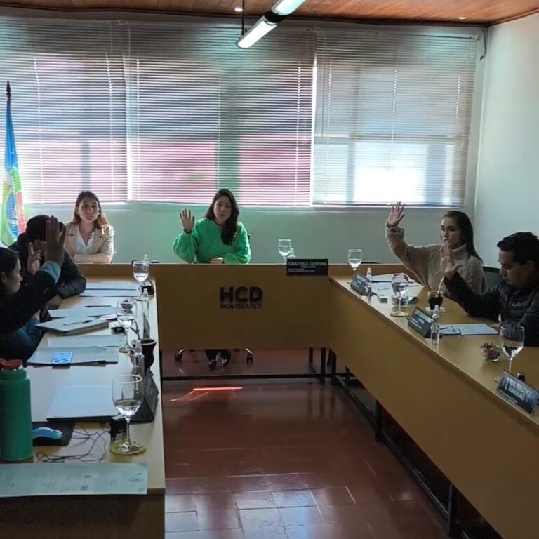 Concejo Deliberante de Montecarlo repudió en forma unánime declaraciones de concejal electa sobre prácticas utilizadas en la Dictadura imagen-5