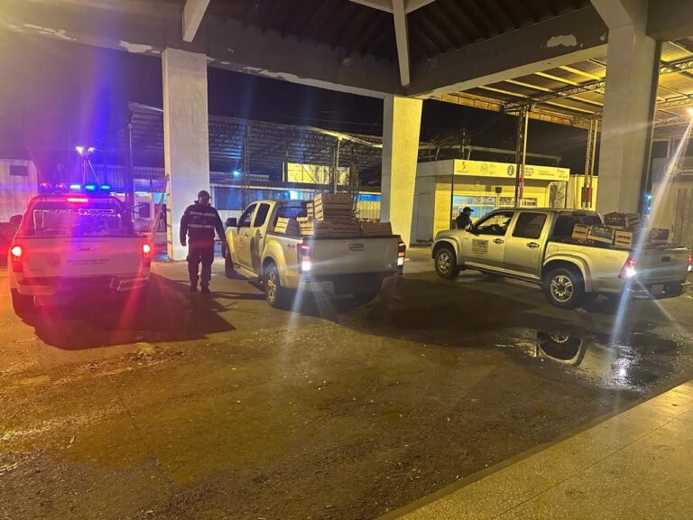 Incautan en feria encarnacena más de una tonelada de tomates de presunto origen argentino imagen-33