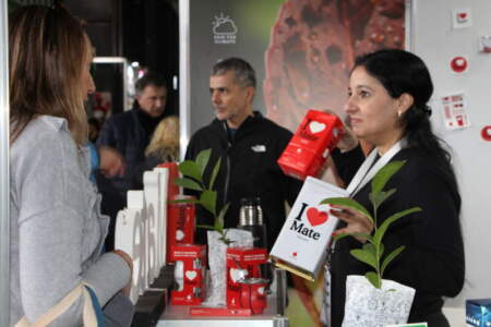Mates que conectan con la naturaleza, con yerba orgánica, biodinámica y prácticas ambientales imagen-6