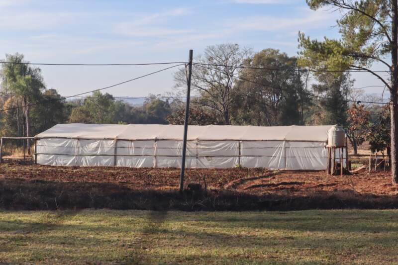 Autoabastecimiento carcelario: internos siembran y cosechan verduras en Loreto imagen-6