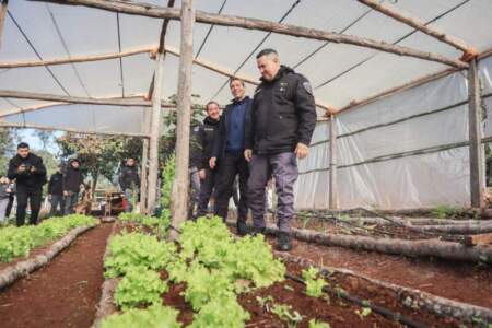 Autoabastecimiento carcelario: internos siembran y cosechan verduras en Loreto imagen-9
