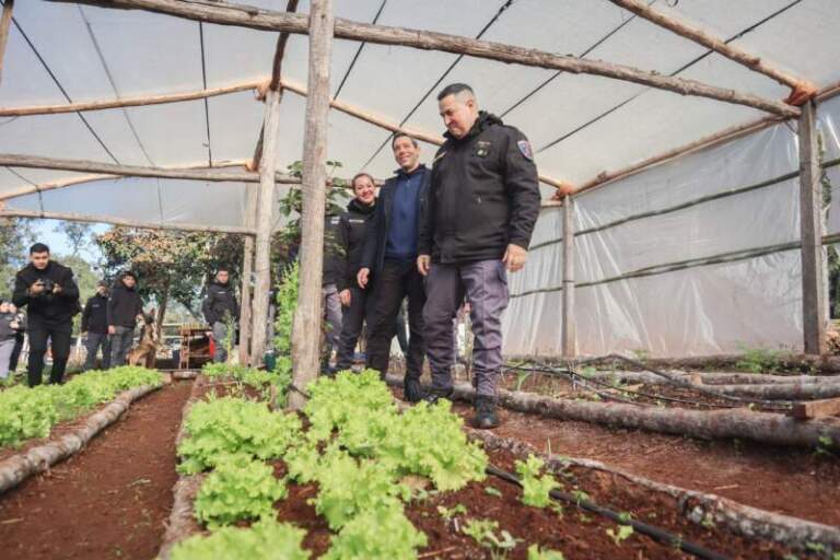 Autoabastecimiento carcelario: internos siembran y cosechan verduras en Loreto imagen-26