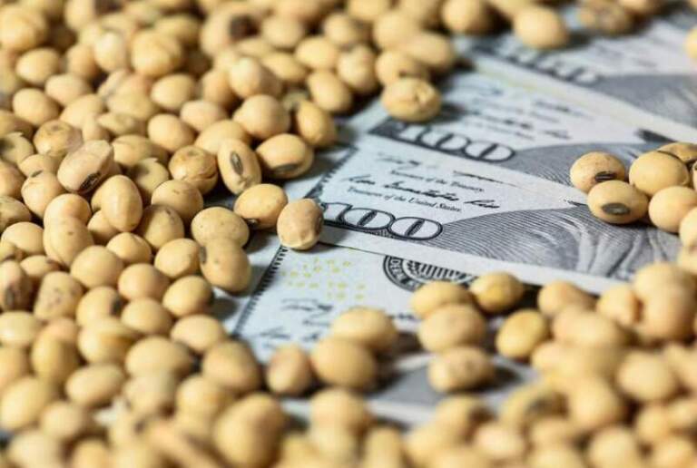 Terminó la baja temporal de las retenciones para la soja y desde este martes se volverá a pagar una alícuota mayor imagen-12