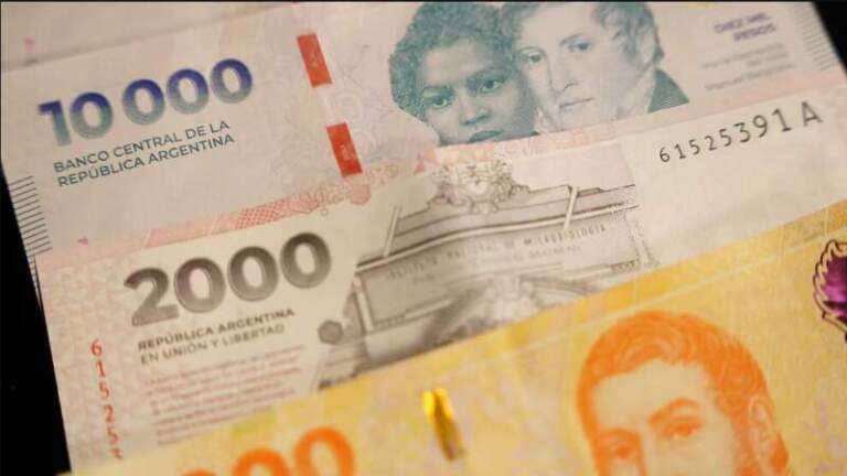 Cómo es el Argentum: la nueva moneda propuesta por López Murphy para terminar con el peso argentino imagen-7