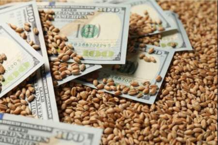 Agrodólares: el campo liquidó en el primer semestre la mayor cantidad de divisas en más de 20 años imagen-10