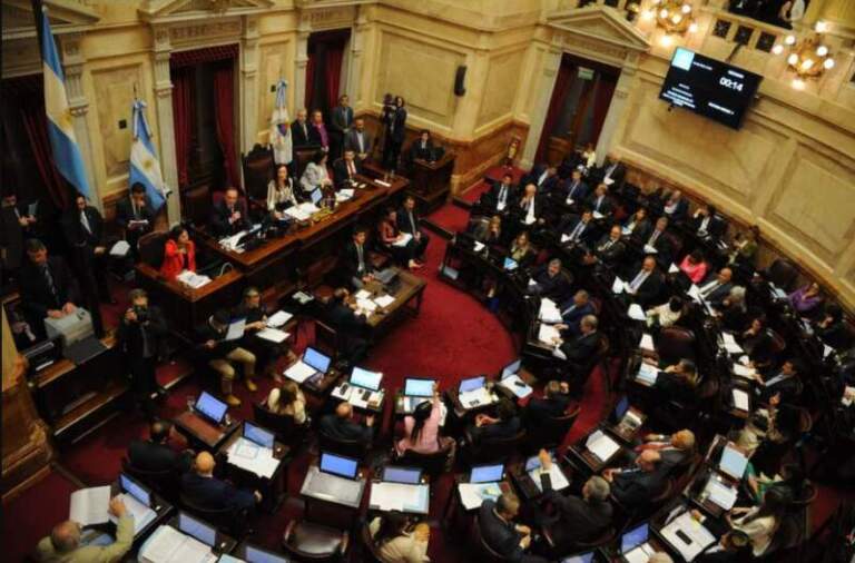 Contraataque libertario en el Senado: no validarán lo avanzado sobre jubilaciones, moratoria y discapacidad Contraataque libertario en el Senado: no validarán lo avanzado sobre jubilaciones, moratoria y discapacidad imagen-29