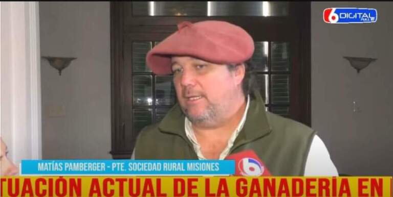 Desde la Sociedad Rural de Misiones advirtieron que la producción ganadera se ve afectada por el alto costo de insumos, la presión fiscal y las condiciones climáticas Desde la Sociedad Rural de Misiones advirtieron que la producción ganadera se ve afectada por el alto costo de insumos, la presión fiscal y las condiciones climáticas imagen-23