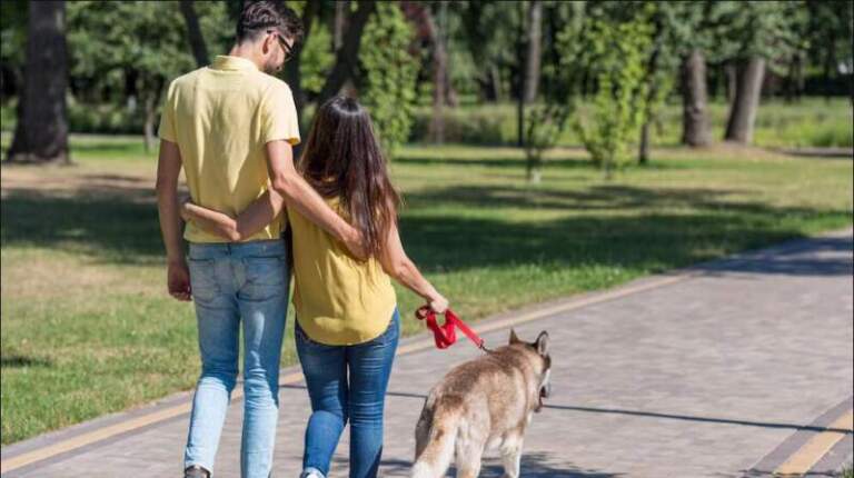 Caída de la natalidad y el fenómeno de los “perrihijos”: los cambios ya se sienten en las familias imagen-4