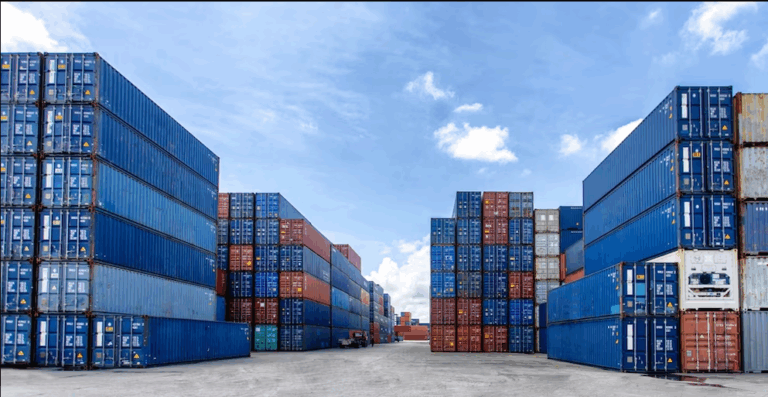 El Gobierno simplificó un trámite clave para la importación de alimentos e insumos industriales imagen-22