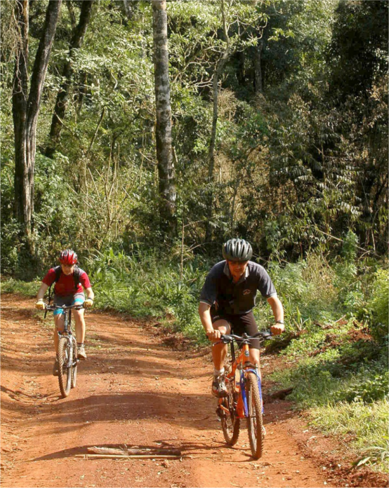 Cicloturismo en el Parque Temático de la Cruz: una nueva propuesta para descubrir el sur misionero sobre ruedas imagen-22