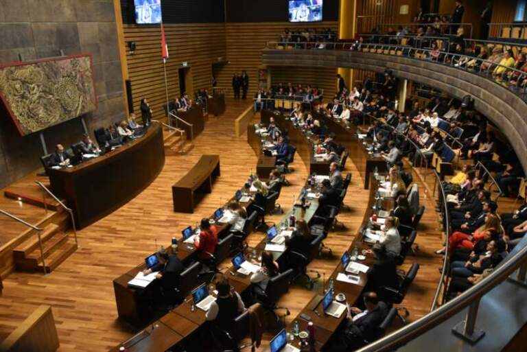 La Legislatura creó un programa integral para el abordaje del cáncer de páncreas en Misiones imagen-8