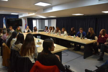 Avanzan en la Legislatura de Misiones propuestas para fortalecer el trabajo en red de los psicopedagogos imagen-10