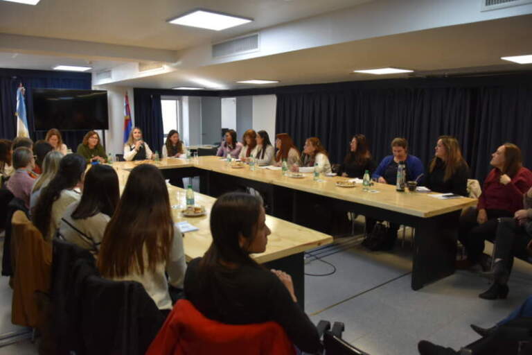 Avanzan en la Legislatura de Misiones propuestas para fortalecer el trabajo en red de los psicopedagogos imagen-30