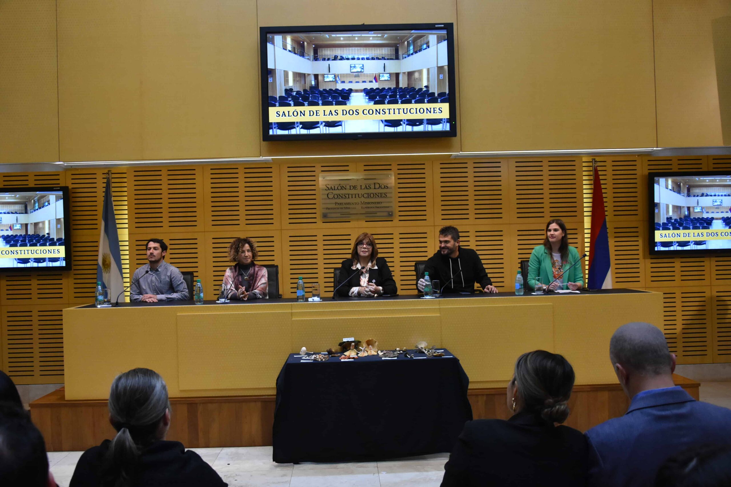 La Legislatura profundiza la concientización sobre la Funga Misionera imagen-14