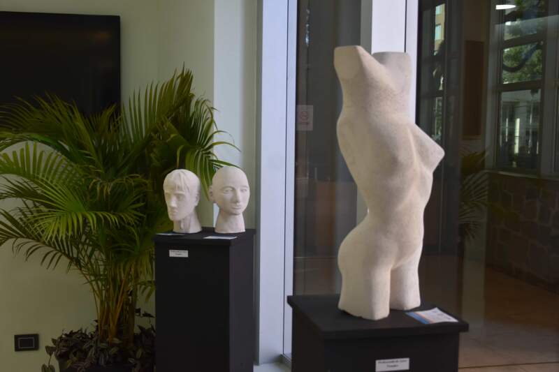 La Legislatura recibió la muestra del Instituto Montoya en su 65° aniversario imagen-8