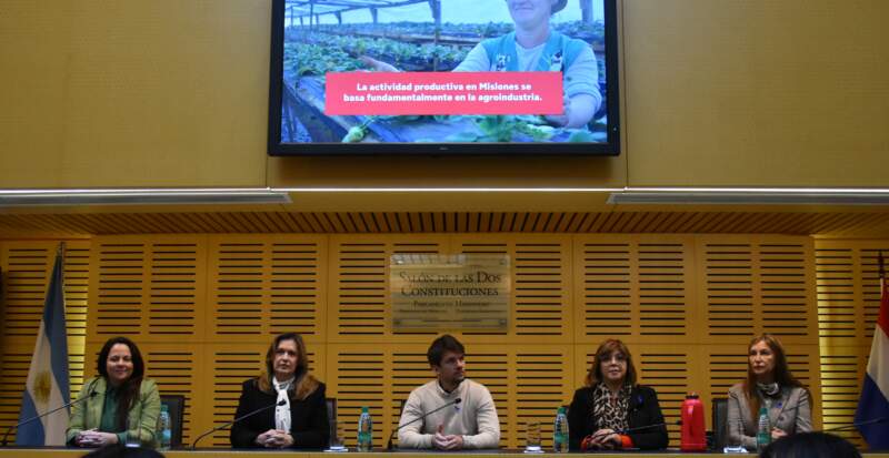 Misiones y Paraguay fortalecen la articulación contra la trata de personas con una jornada en la Legislatura 5 Misiones y Paraguay fortalecen la articulación contra la trata de personas con una jornada en la Legislatura imagen-4