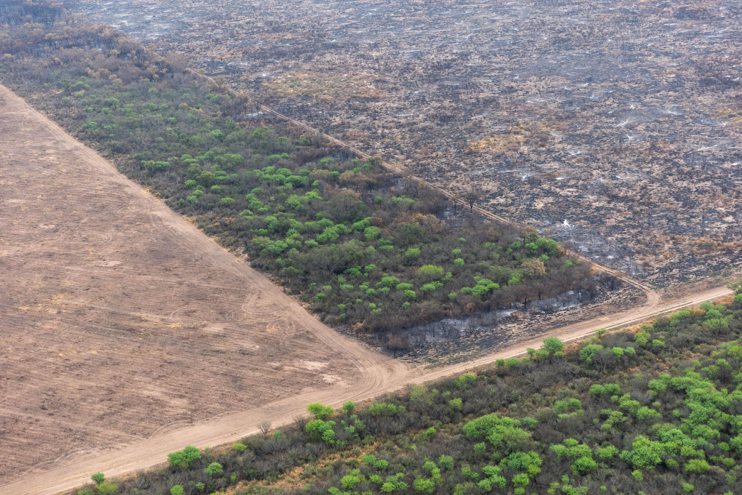 En seis meses se deforestaron ilegalmente 31.000 hectáreas en Santiago del Estero y Chaco, equivalente a una vez y media el tamaño de la ciudad de Buenos Aires imagen-4