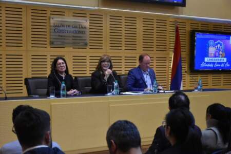 La Legislatura lanzó el plan de trabajo vinculado al lema del año 2025, la protección integral de niñas, niños y adolescentes La Legislatura lanzó el plan de trabajo vinculado al lema del año 2025, la protección integral de niñas, niños y adolescentes imagen-4