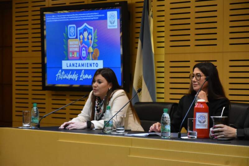 La Legislatura lanzó el plan de trabajo vinculado al lema del año 2025, la protección integral de niñas, niños y adolescentes 11 La Legislatura lanzó el plan de trabajo vinculado al lema del año 2025, la protección integral de niñas, niños y adolescentes imagen-10