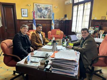 Ya son 22 los municipios de Misiones que cuentan con Carta Orgánica imagen-7