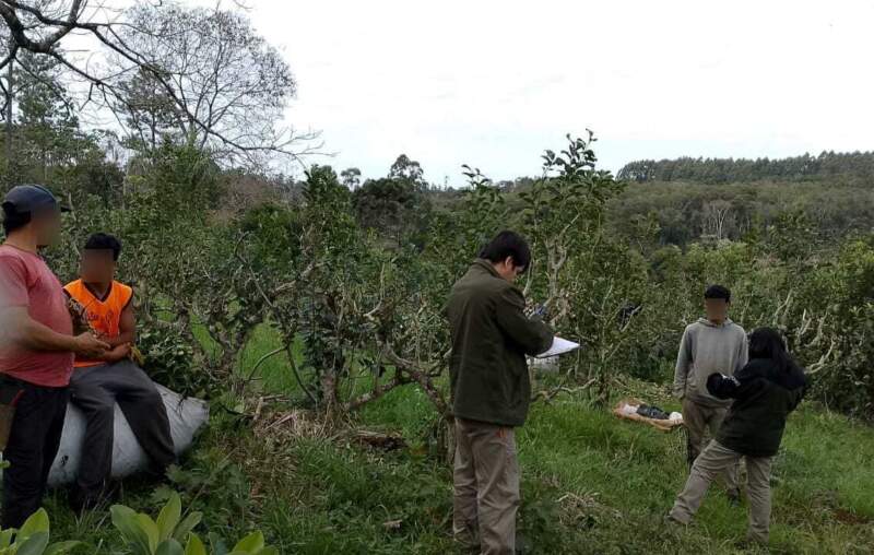 Trabajo intensifica control de transporte de trabajadores tareferos imagen-2
