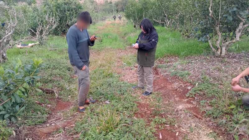 Trabajo intensifica control de transporte de trabajadores tareferos imagen-8