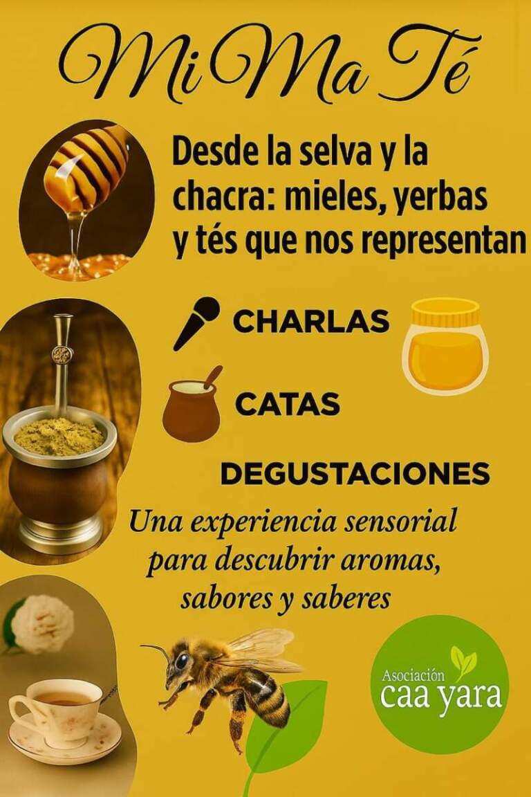 Encuentro de Pequeños productores de miel, té y yerba se reunirán en Campo Viera para una jornada técnica e intercambio Encuentro de Pequeños productores de miel, té y yerba se reunirán en Campo Viera para una jornada técnica e intercambio imagen-36