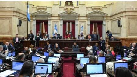 Por unanimidad, el Senado convirtió en ley la declaración de emergencia por discapacidad imagen-3