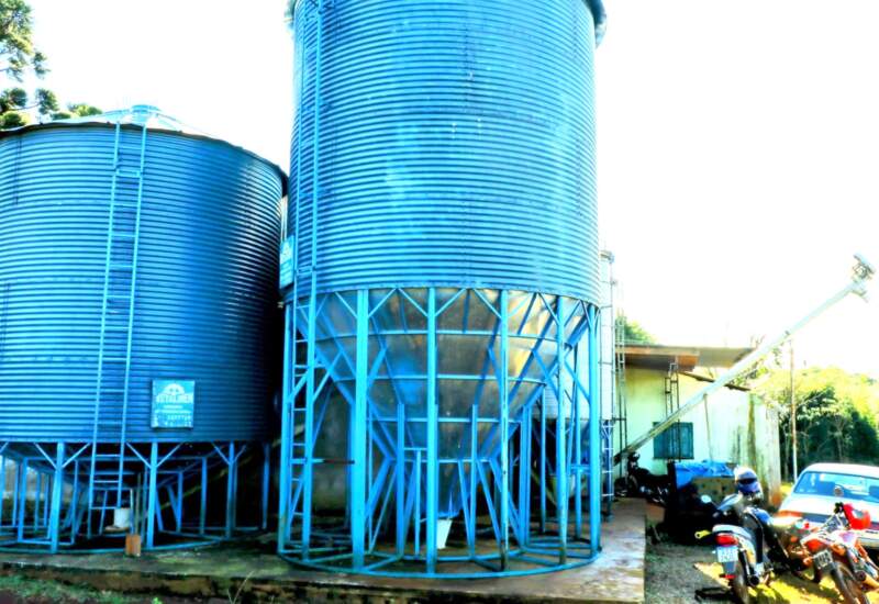 San Pedro: ante el ajuste de Milei, familias cooperativistas buscan reactivarse para producir y desarrollarse 7 San Pedro: ante el ajuste de Milei, familias cooperativistas buscan reactivarse para producir y desarrollarse imagen-6