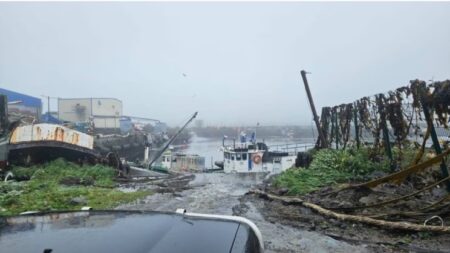 Alerta de tsunami en el Pacífico tras un sismo de 8,8 en Rusia: evacúan zonas de EE.UU., Chile, Perú y Ecuador imagen-6