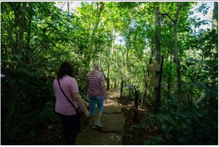 “Experiencia de inmersión” en el Valle Encantado imagen-8