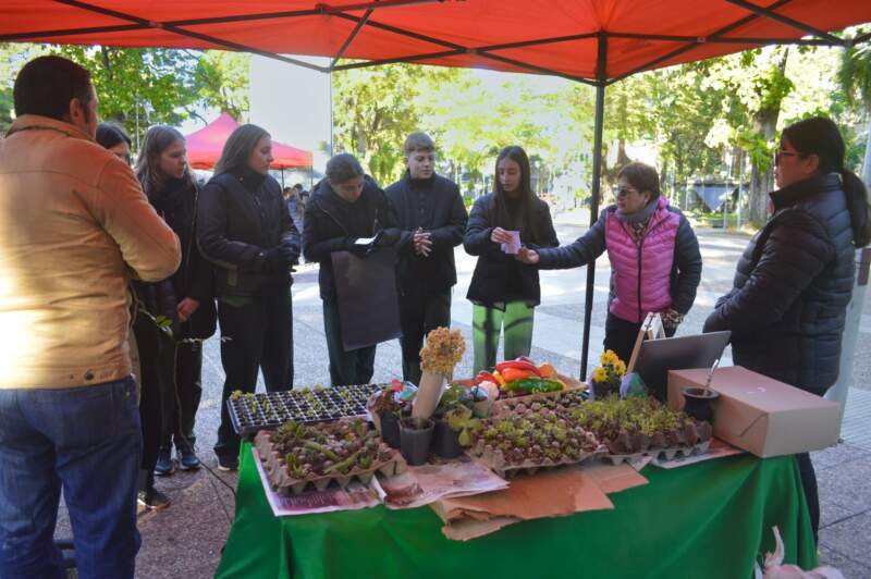Alumnos de colegios de Posadas participaron de una jornada ambiental por el Día Provincial del Árbol en la Plaza San Martín imagen-4