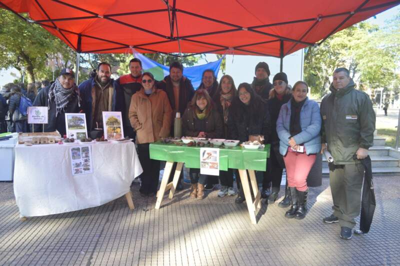 Alumnos de colegios de Posadas participaron de una jornada ambiental por el Día Provincial del Árbol en la Plaza San Martín imagen-2