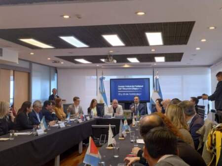 Misiones solicitó la continuidad del Programa Intercosecha en la 126° Reunión del Consejo Federal del Trabajo imagen-2