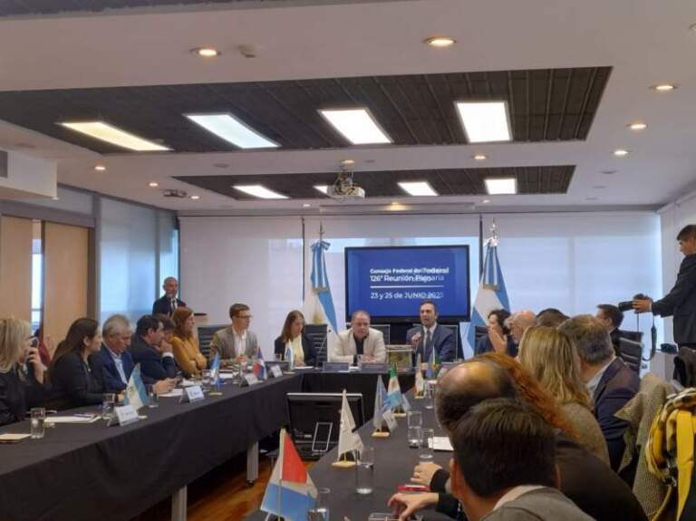 Misiones solicitó la continuidad del Programa Intercosecha en la 126° Reunión del Consejo Federal del Trabajo imagen-21