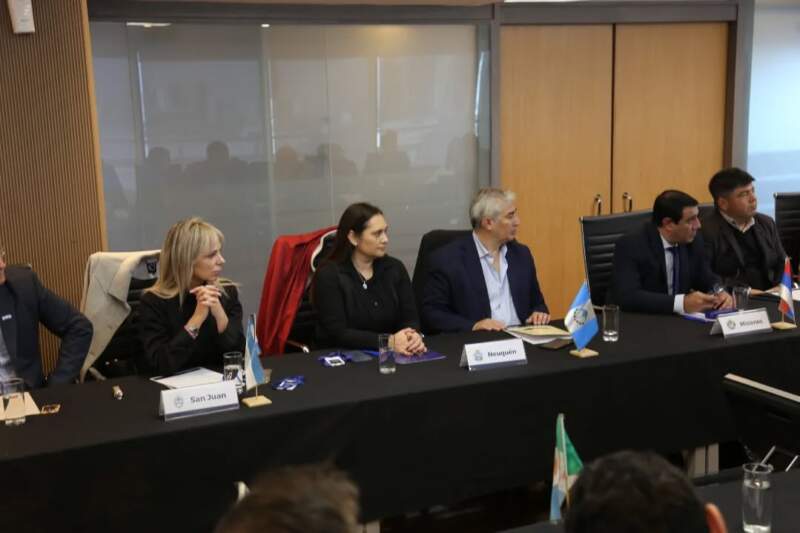 Misiones solicitó la continuidad del Programa Intercosecha en la 126° Reunión del Consejo Federal del Trabajo imagen-4