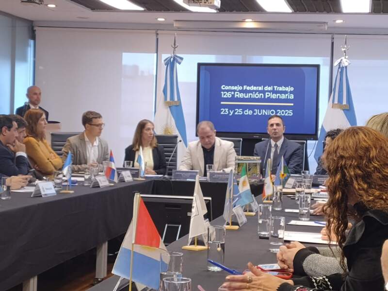 Misiones solicitó la continuidad del Programa Intercosecha en la 126° Reunión del Consejo Federal del Trabajo imagen-2
