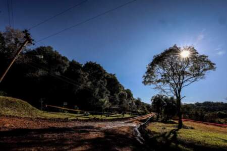 Automovilismo: el Rally Argentino comienza a acelerar en Misiones imagen-9