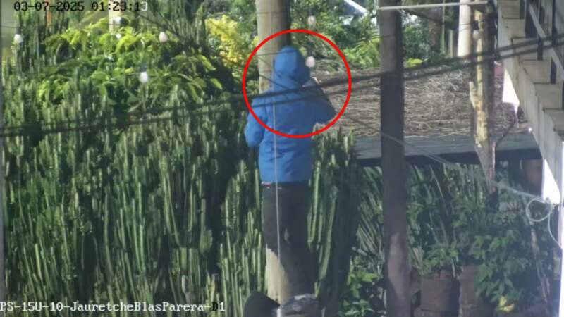 Cámaras de seguridad permitieron arrestar a dos hombres que intentaban robar cables del tendido eléctrico imagen-2