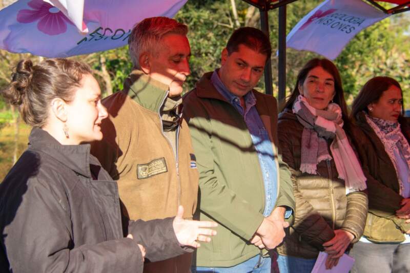 Liberaron a tres ejemplares de yaguarundí rehabilitados en el Parque Ecológico El Puma imagen-2