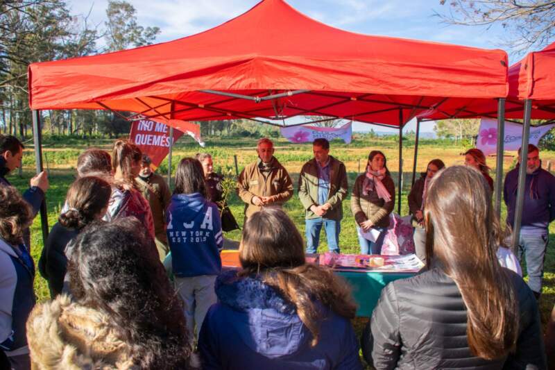 Liberaron a tres ejemplares de yaguarundí rehabilitados en el Parque Ecológico El Puma imagen-8