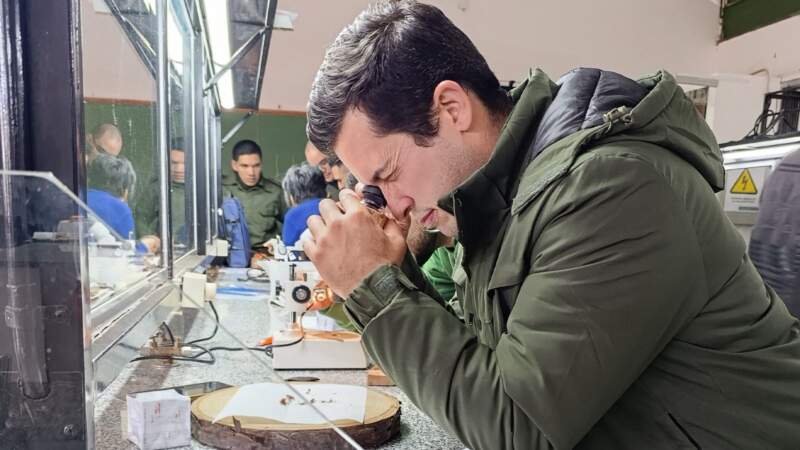 Con el objetivo de fortalecer el control forestal en Misiones, realizaron una capacitación en reconocimiento de maderas imagen-8