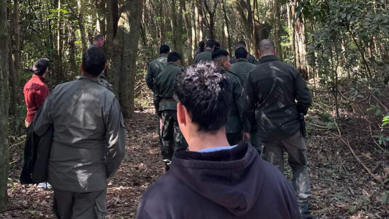 Con el objetivo de fortalecer el control forestal en Misiones, realizaron una capacitación en reconocimiento de maderas imagen-6