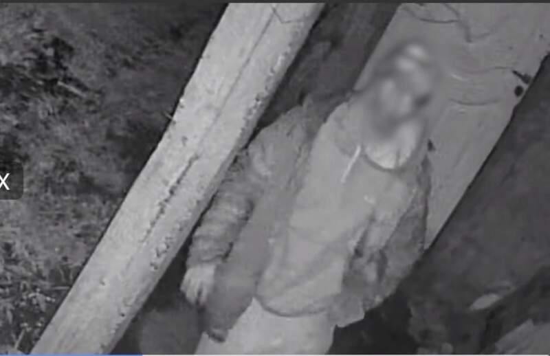 Captado infraganti por las cámaras de seguridad: Identificaron y arrestaron a delincuente en Garupá 3 Captado infraganti por las cámaras de seguridad: Identificaron y arrestaron a delincuente en Garupá imagen-2