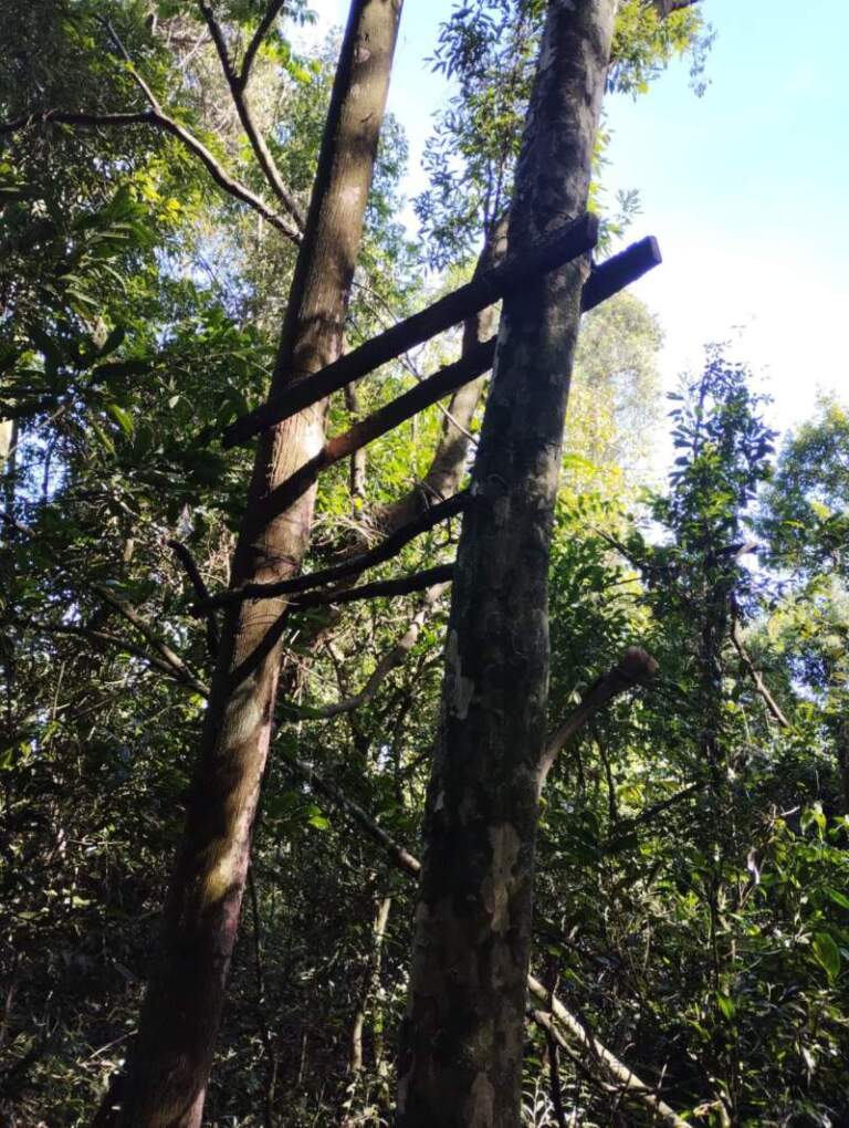 Guardaparques continúan con recorridas para prevenir la caza furtiva en el Parque Salto Encantado Guardaparques continúan con recorridas para prevenir la caza furtiva en el Parque Salto Encantado imagen-35