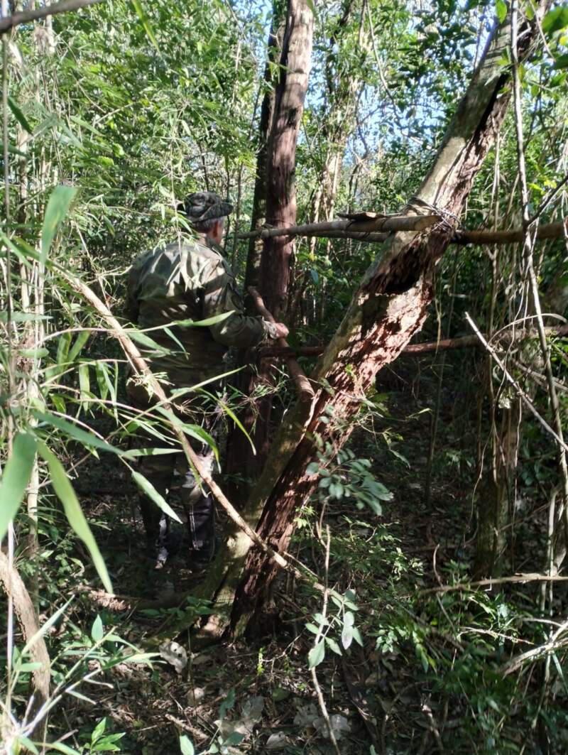 Guardaparques continúan con recorridas para prevenir la caza furtiva en el Parque Salto Encantado imagen-2