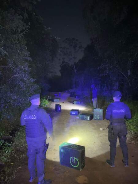 Puerto Rico: Incautaron casi 15 millones de pesos en cigarrillos de contrabando Puerto Rico: Incautaron casi 15 millones de pesos en cigarrillos de contrabando imagen-4