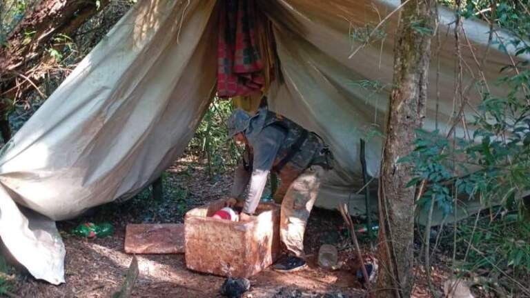 Guardaparques desmantelaron un campamento furtivo en el Lago Urugua-í imagen-12